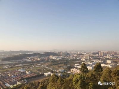 文章附圖