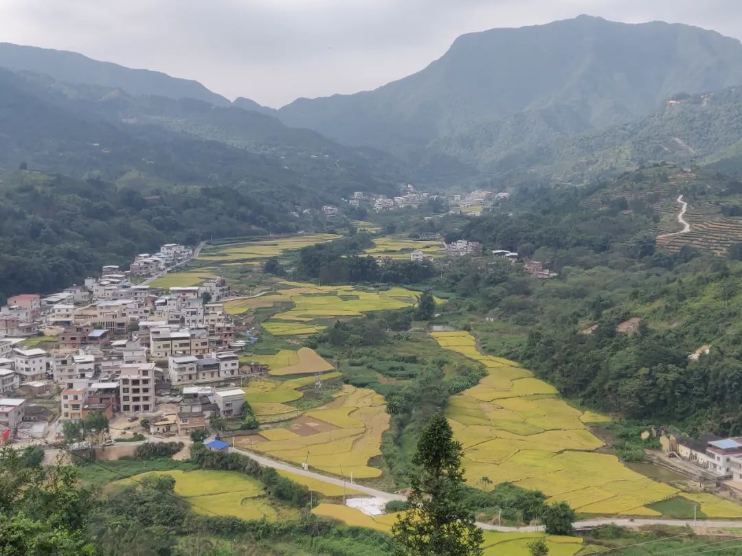 AIwBCAAQAhgAINHr4JEGKIDJoOYGMNAPOLUK