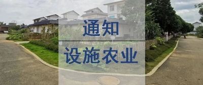文章附圖