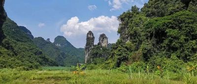 文章附圖