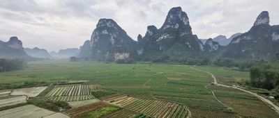 文章附圖